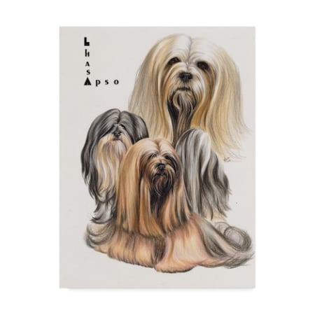 Barbara Keith 'Lhasa Apso' Canvas Art,14x19